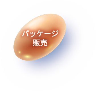パッケージ販売